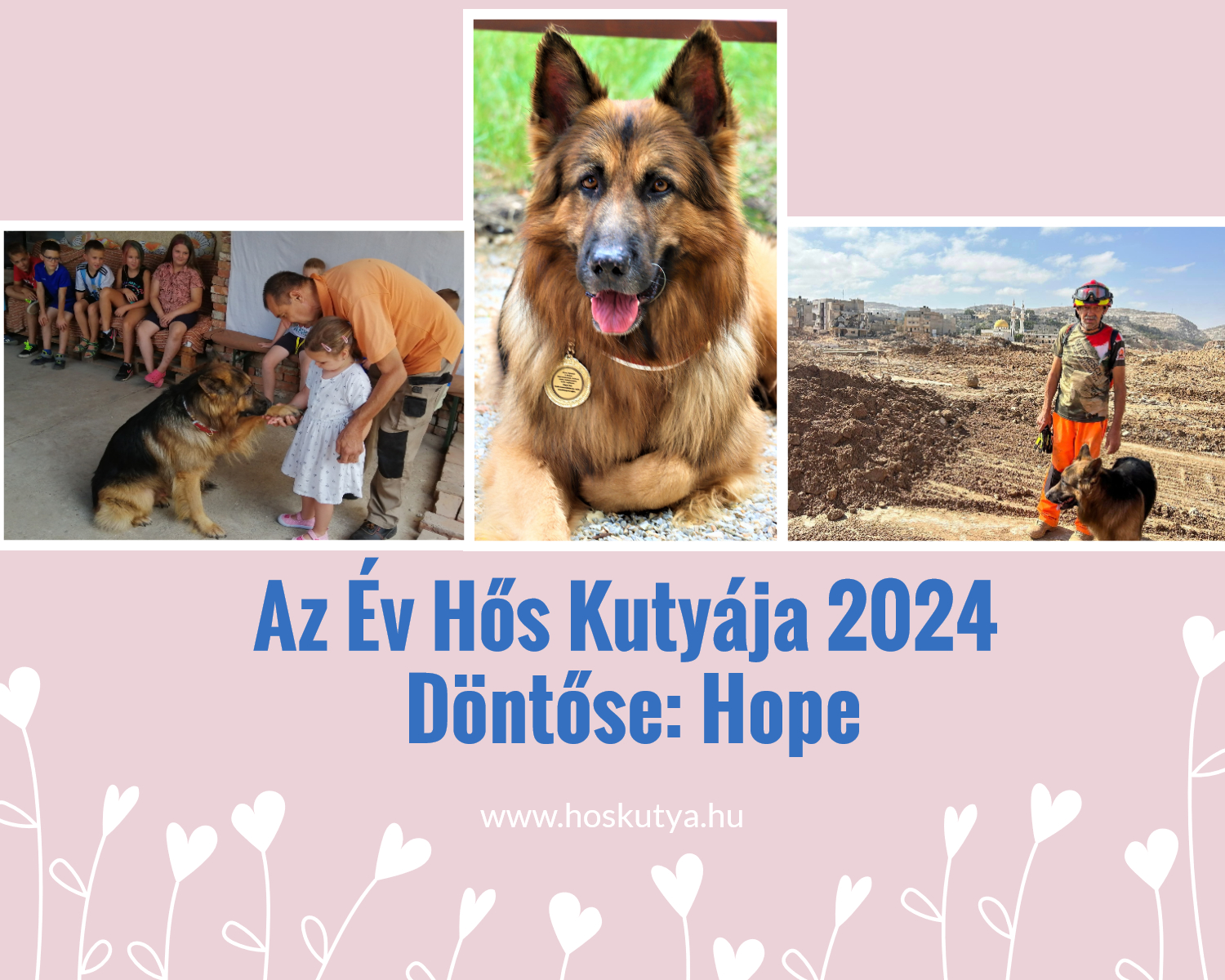 Hope kutya