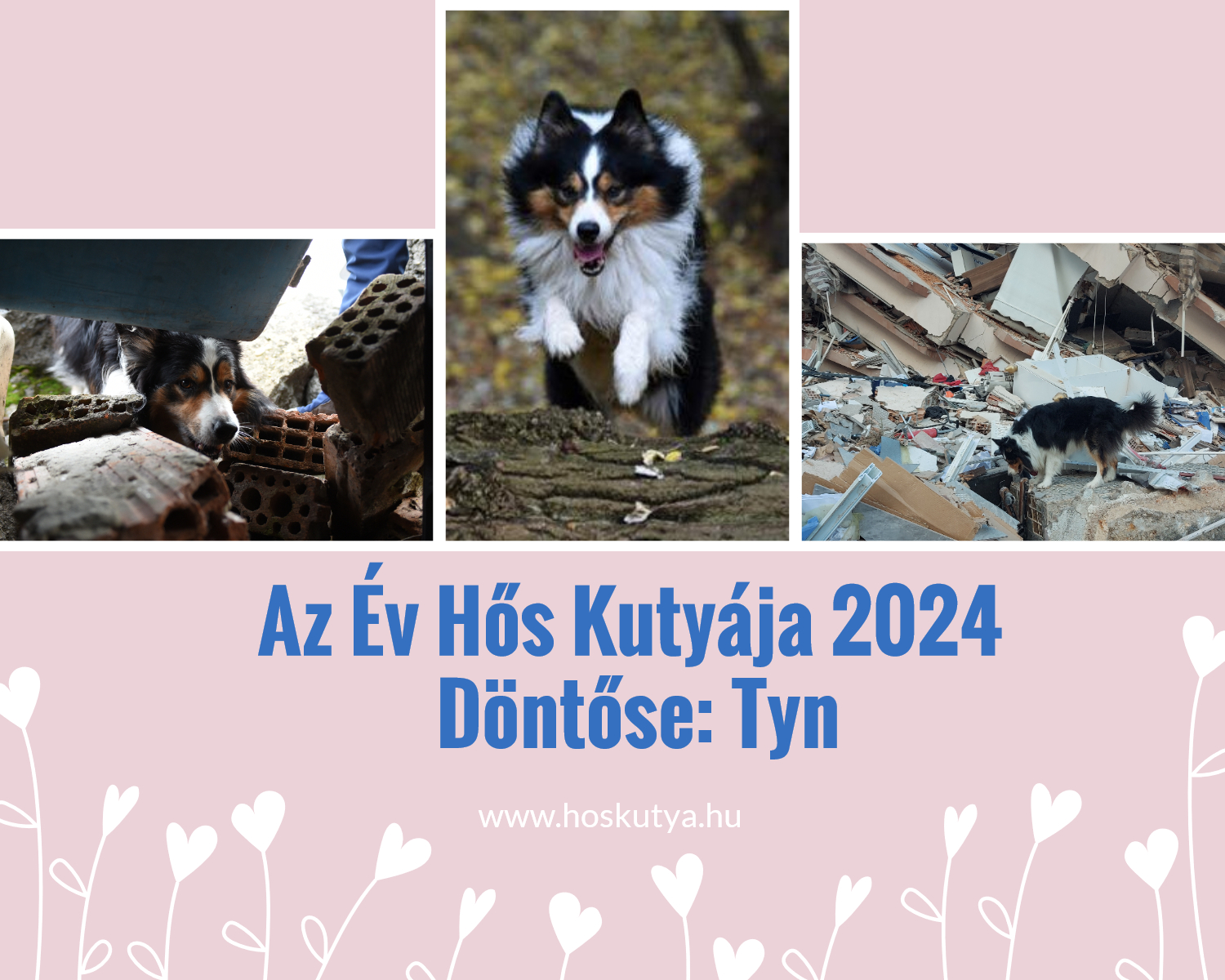 Tyn kutya