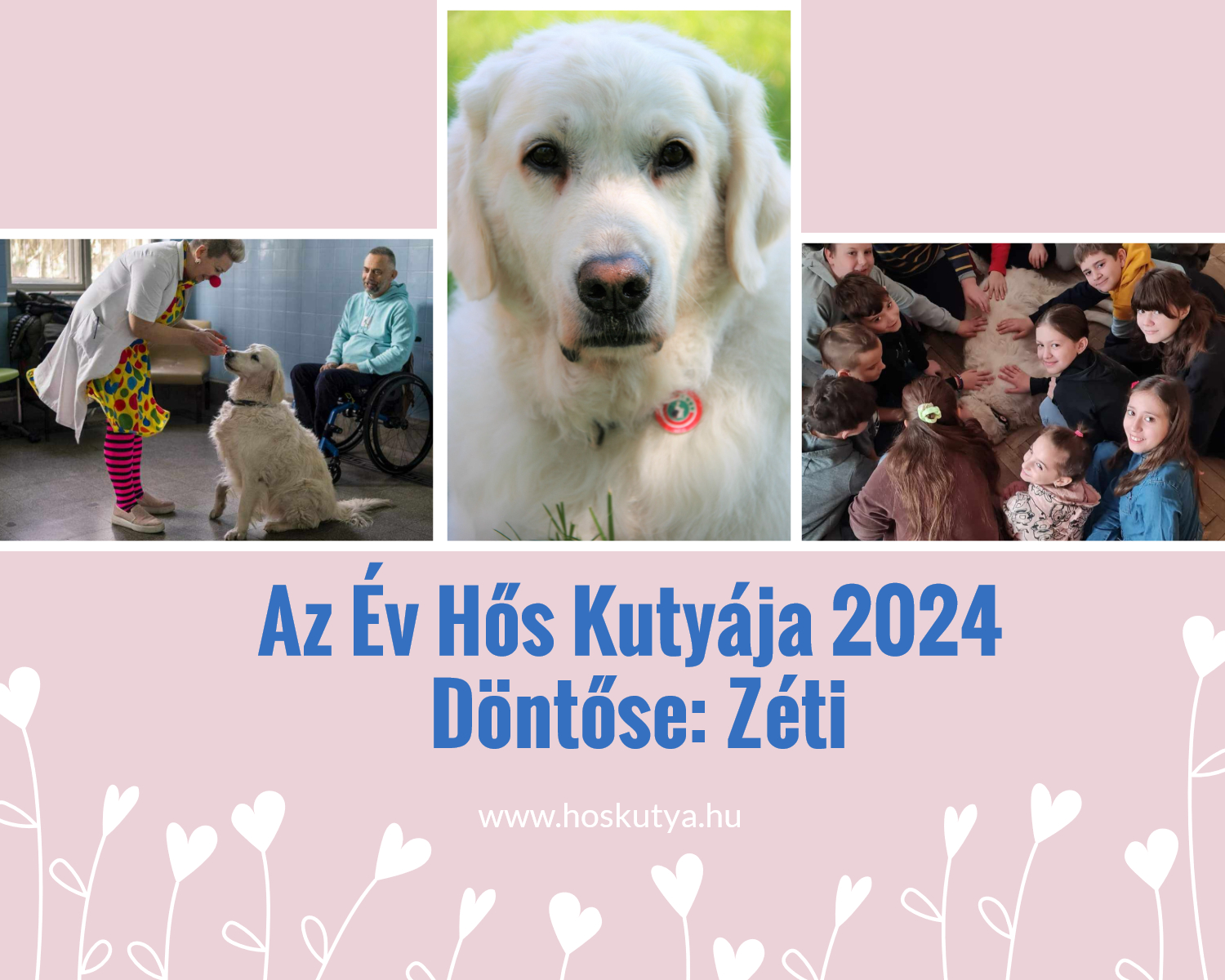Zéti kutya