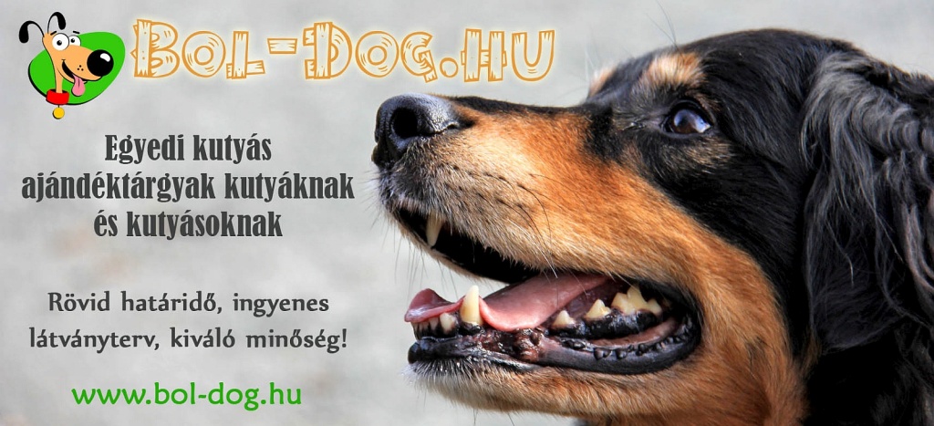 Bol-dog webáruház