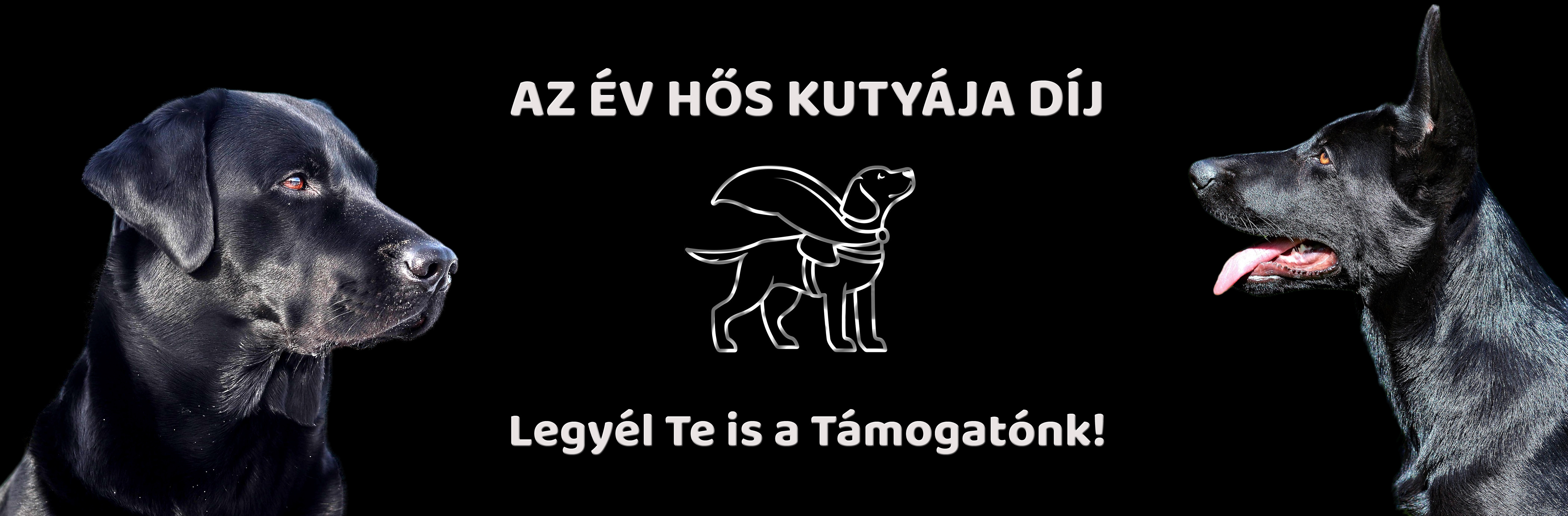 tamogato...